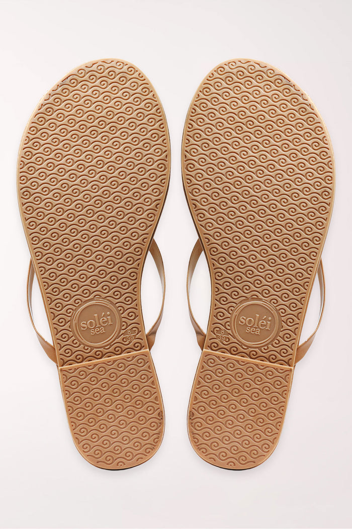 Pair of brown flip-flops on a white background