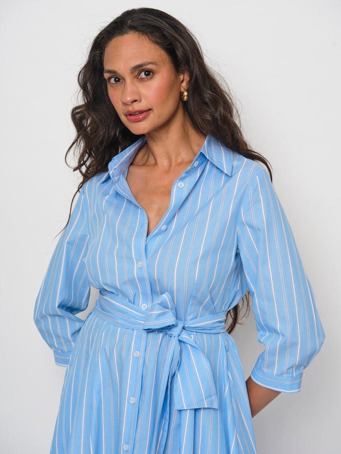 Belted Flared Dress