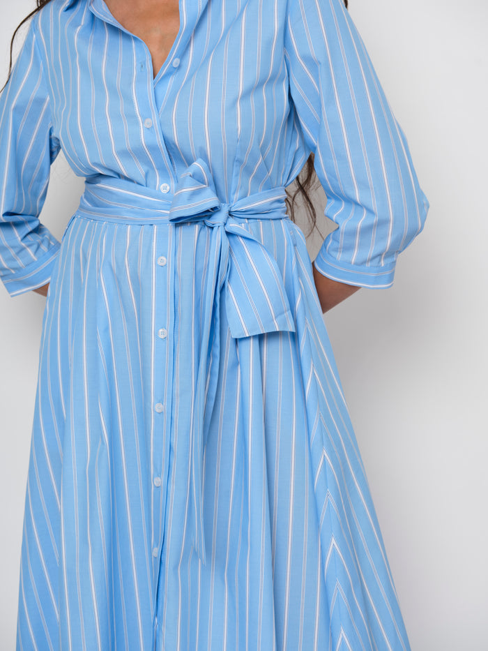 Belted Flared Dress