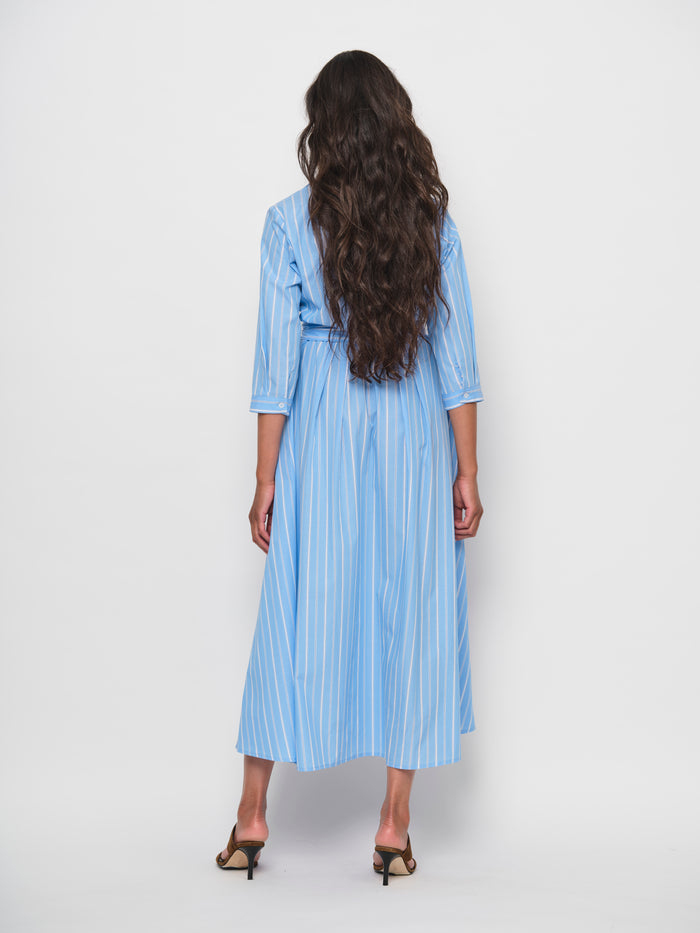 Belted Flared Dress
