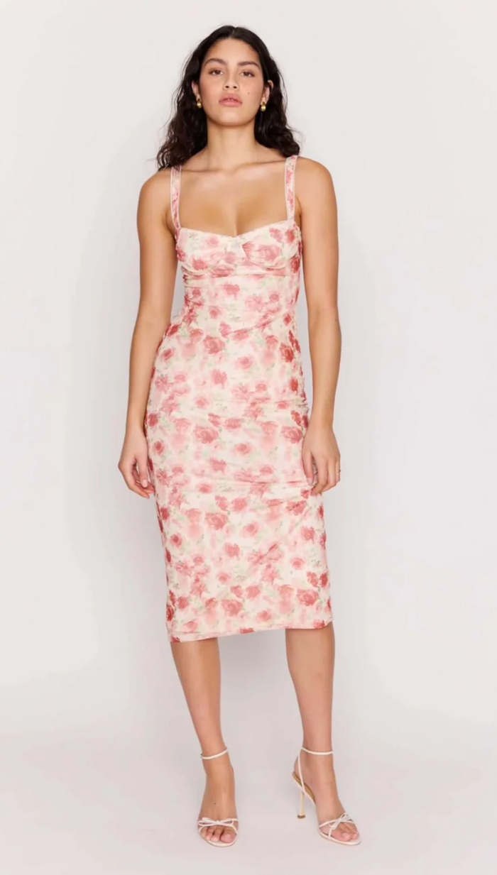 Camille Mesh Bustier Dress - Pink Floral