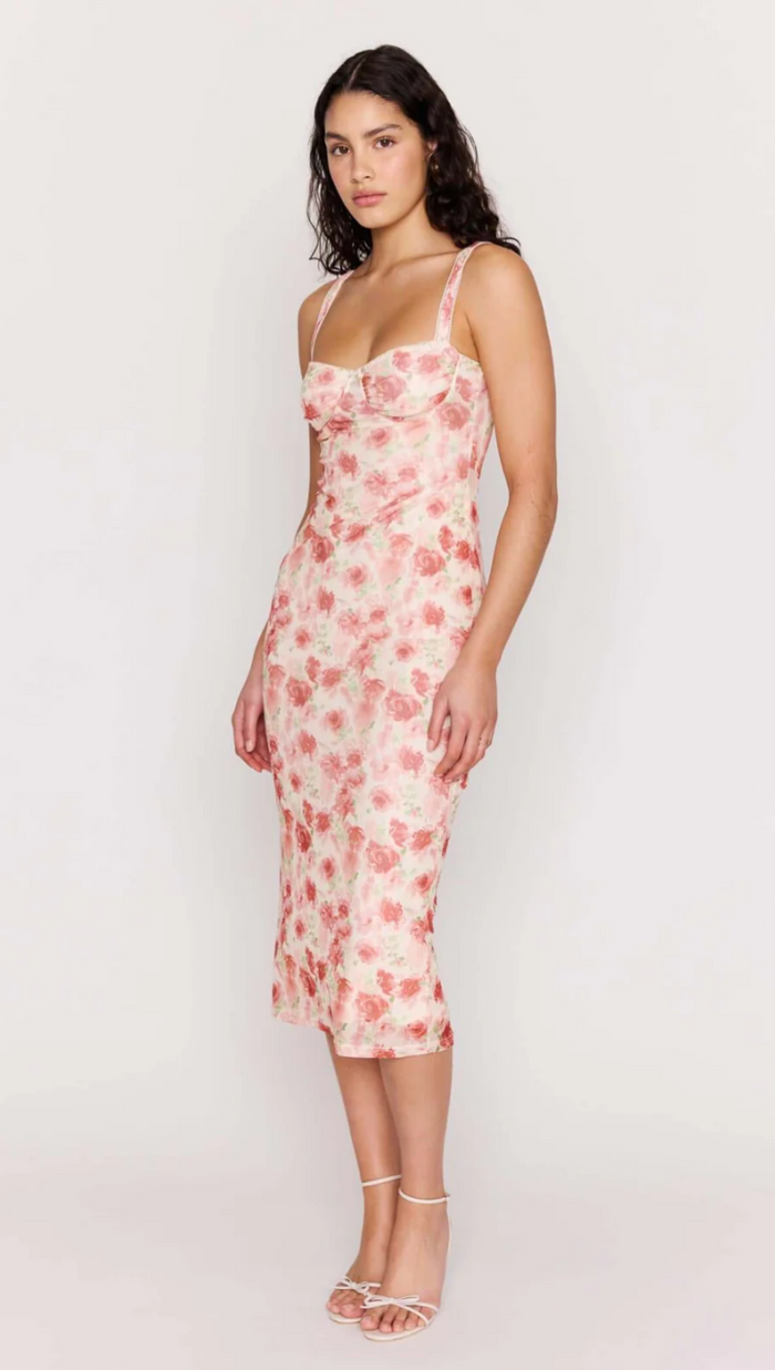 Camille Mesh Bustier Dress - Pink Floral