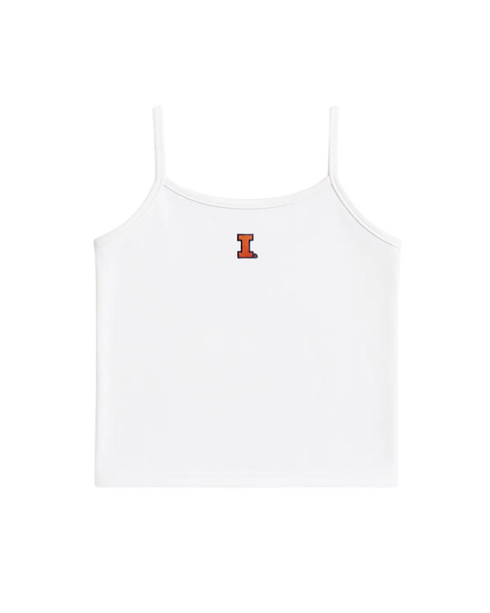 Illinois Stadium Tank
