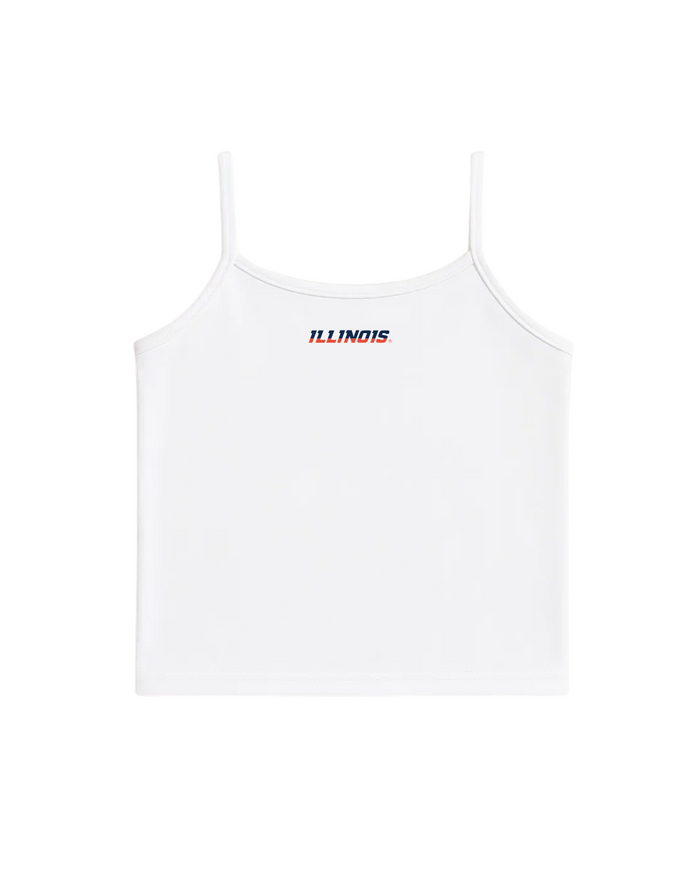 Illinois Stadium Tank