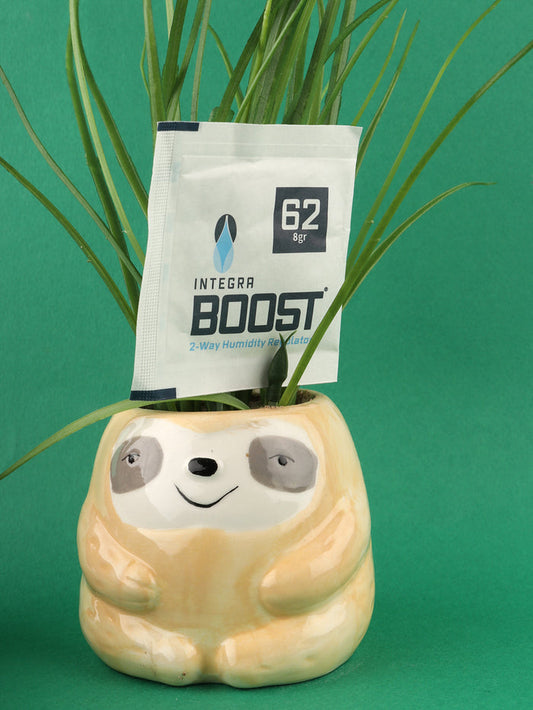 Integra Boost 8GM 62% Humidity Pack | One Colour-Image 1