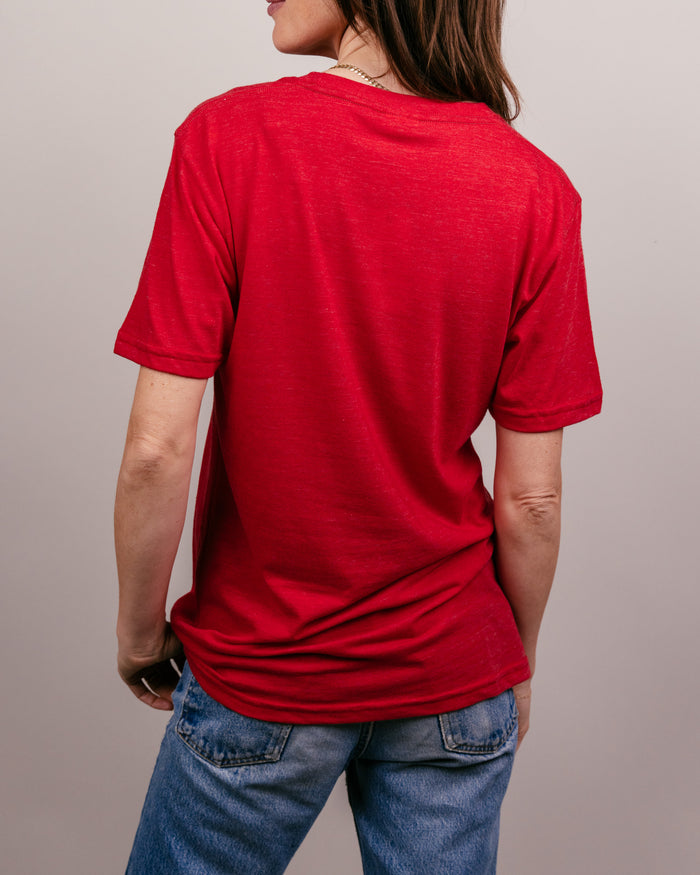 Red Leaning Hog Wooo Pig Sooie! Arkansas Vintage T-Shirt Back