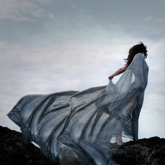On the Wind | Kellie North