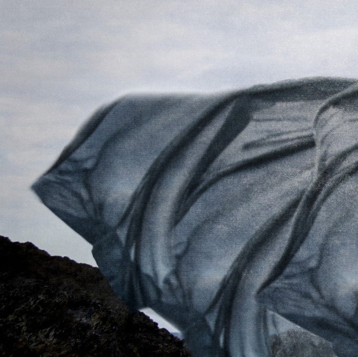 On the Wind | Kellie North