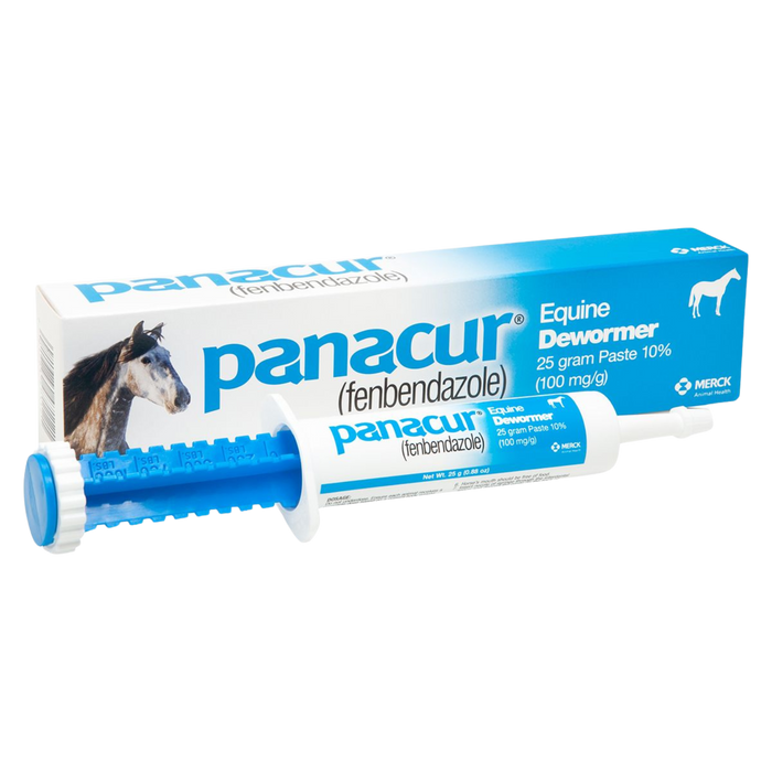 Panacur | Horse Dewormer Paste | 25gm