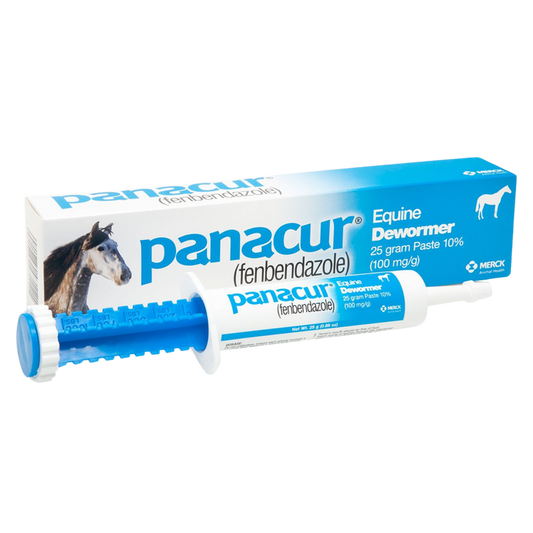 Panacur | Horse Dewormer Paste | 25gm